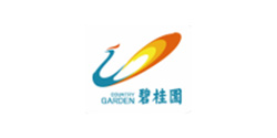 战略合作